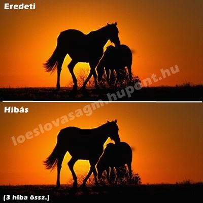 hiba
